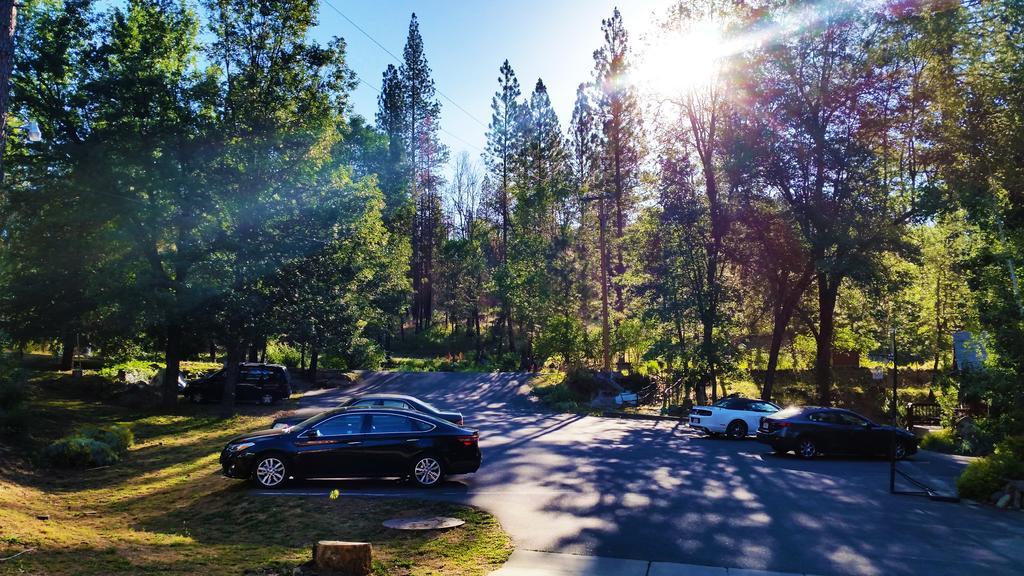 Yosemite Riverside
