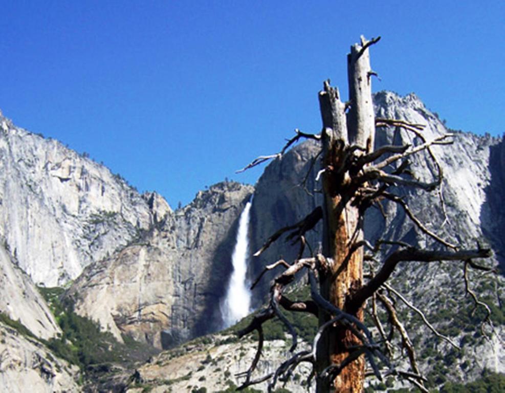 Yosemite Riverside