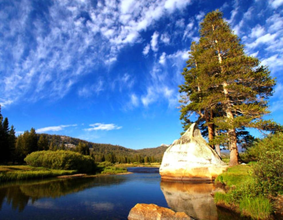 Yosemite Riverside 2* Groveland
